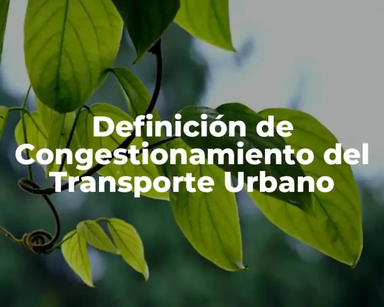 Definición de Congestionamiento del Transporte Urbano