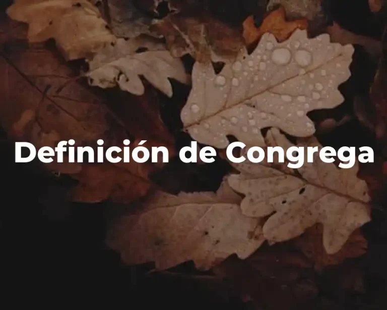 Definición de Congrega