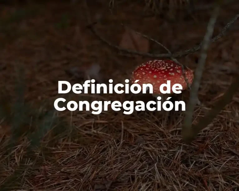 Definición de Congregación