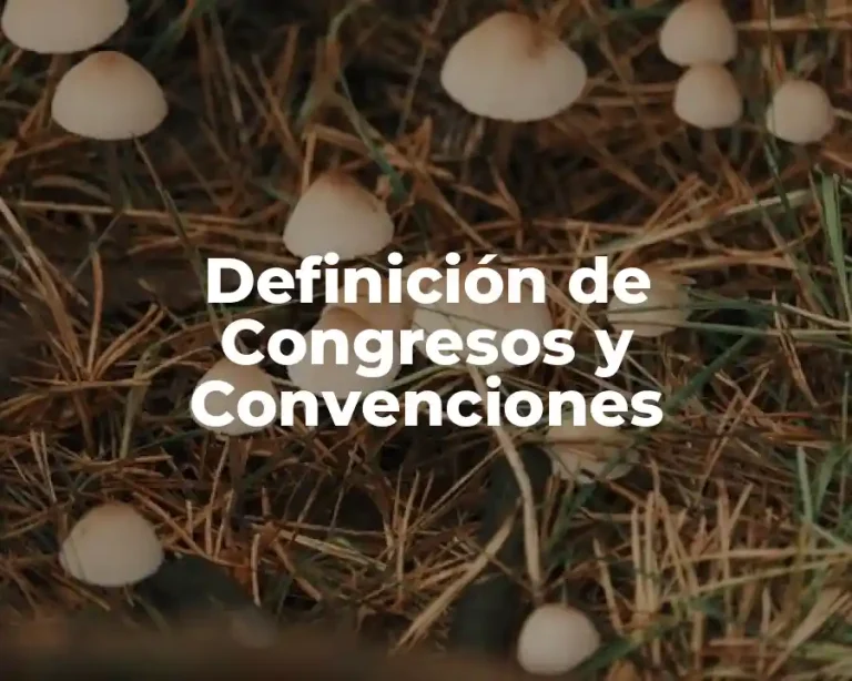 Definición de Congresos y Convenciones