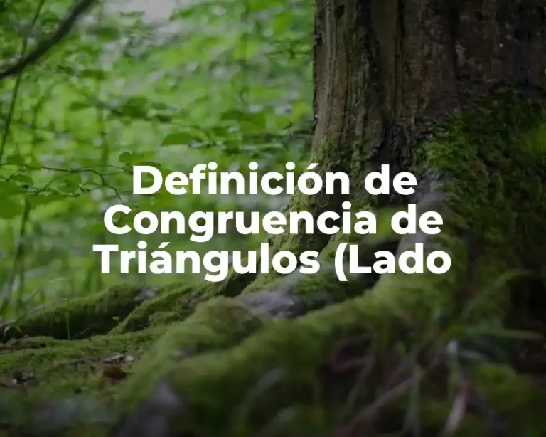 Definición de Congruencia de Triángulos (Lado