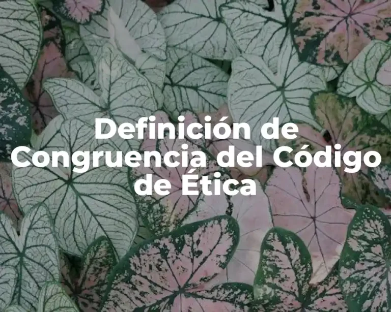 Definición de Congruencia del Código de Ética