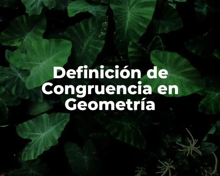 Definición de Congruencia en Geometría