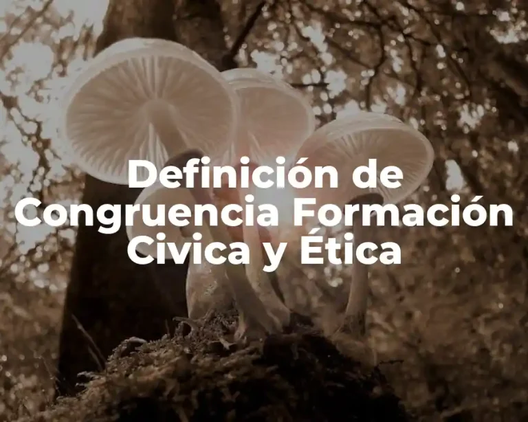 Definición de Congruencia Formación Civica y Ética