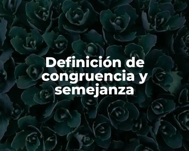 Definición de congruencia y semejanza