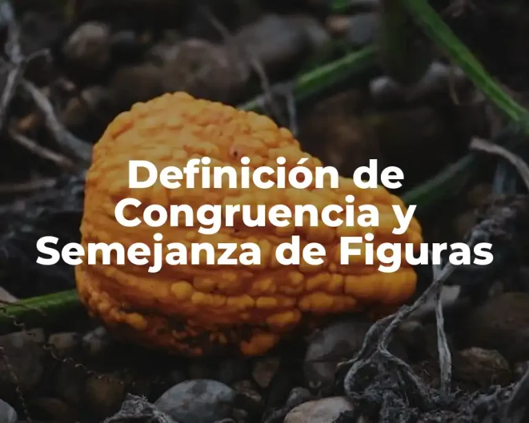 Definición de Congruencia y Semejanza de Figuras