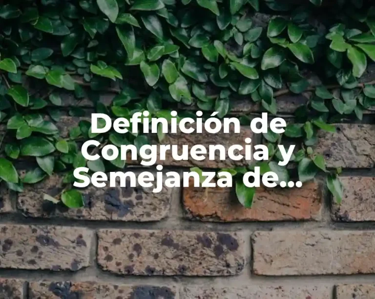Definición de Congruencia y Semejanza de Triángulos