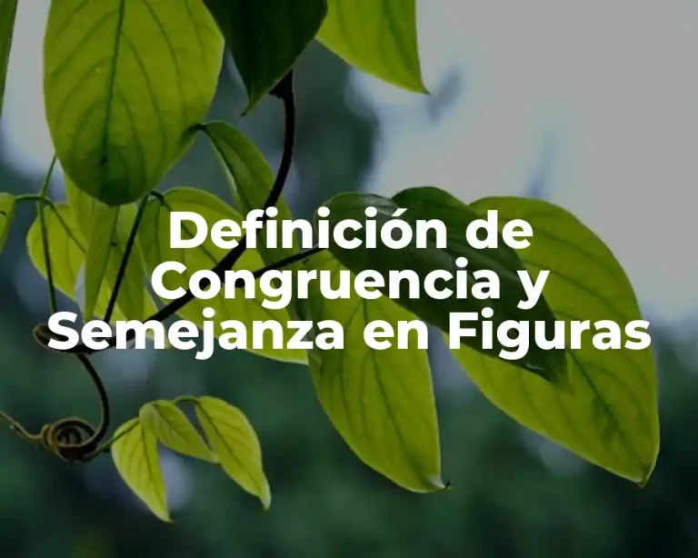 Definición de Congruencia y Semejanza en Figuras