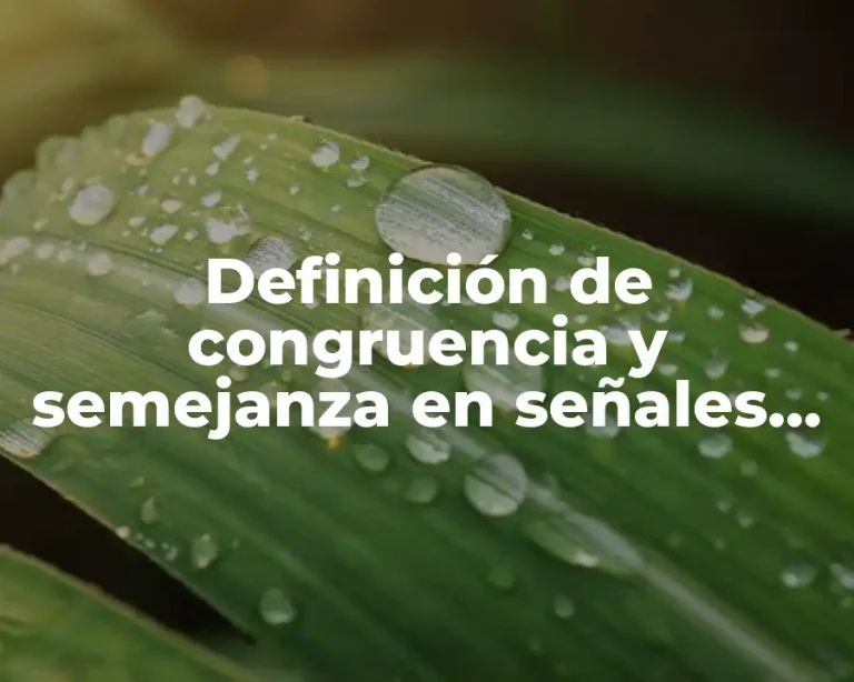 Definición de congruencia y semejanza en señales de tránsito