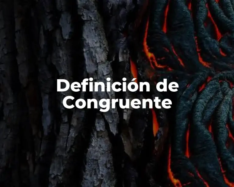 Definición de Congruente