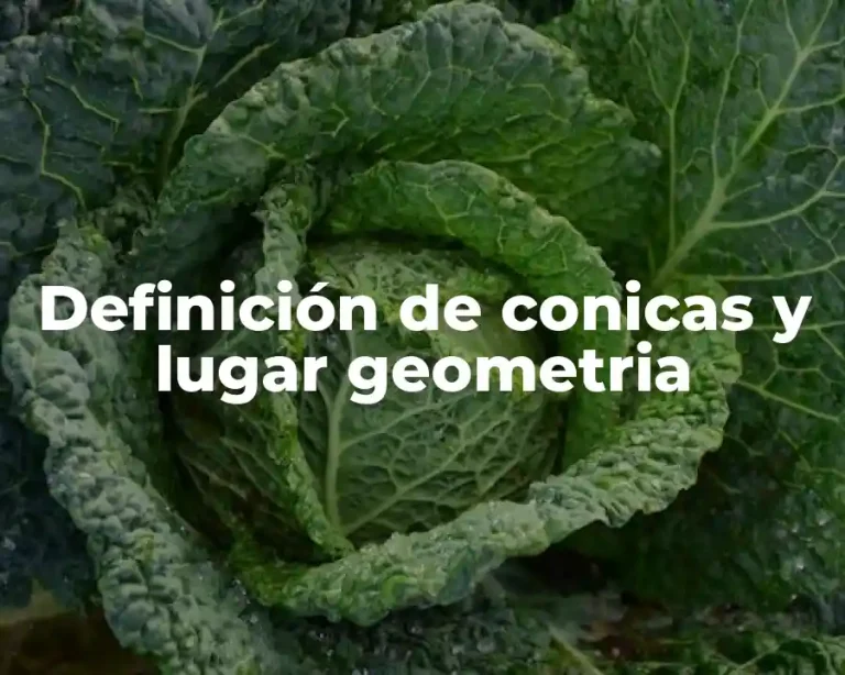 Definición de conicas y lugar geometria