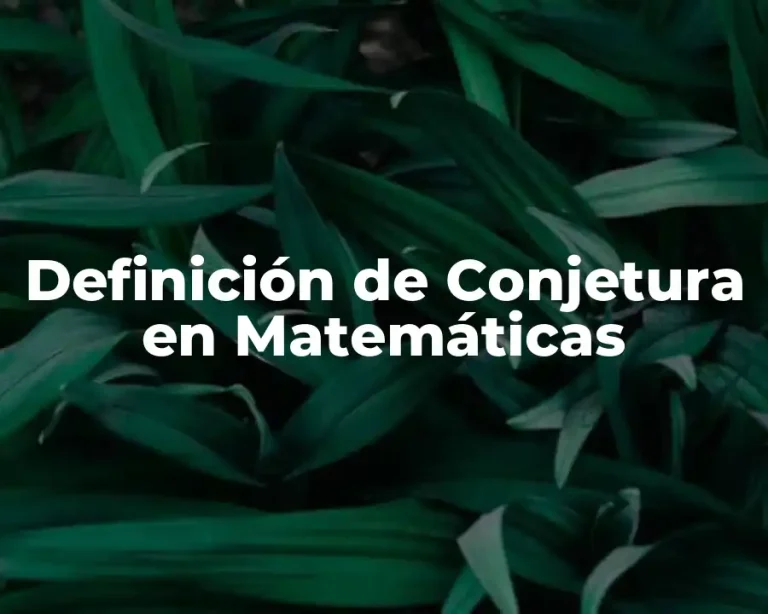 Definición de Conjetura en Matemáticas