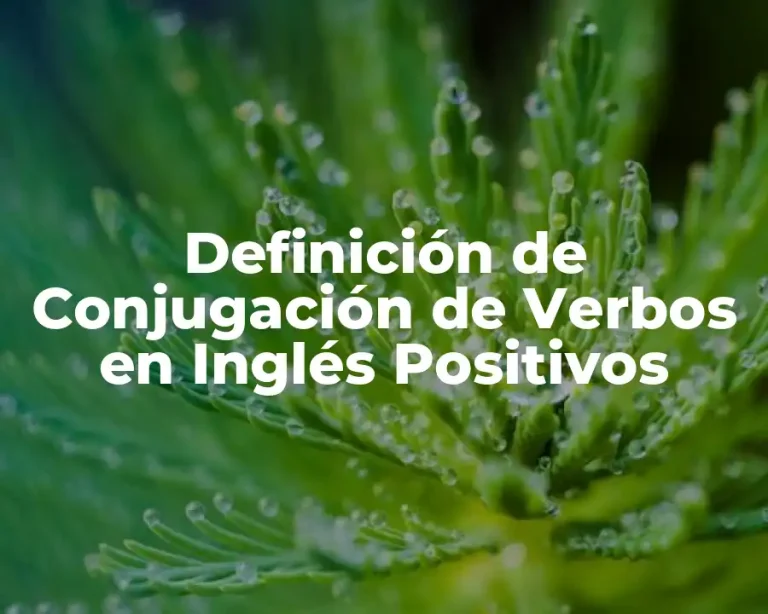 Definición de Conjugación de Verbos en Inglés Positivos