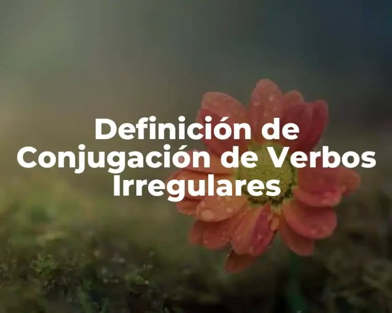 Definición de Conjugación de Verbos Irregulares