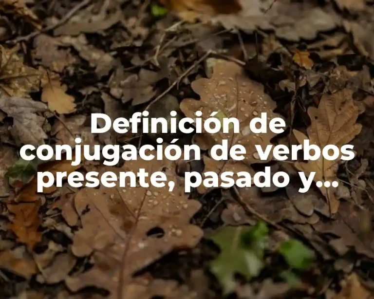 Definición de conjugación de verbos presente, pasado y futuro escribir