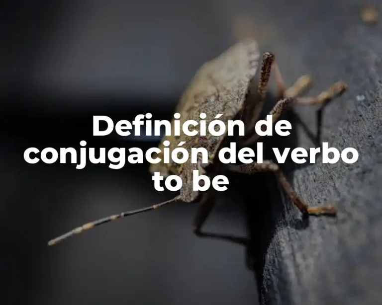 Definición de conjugación del verbo to be
