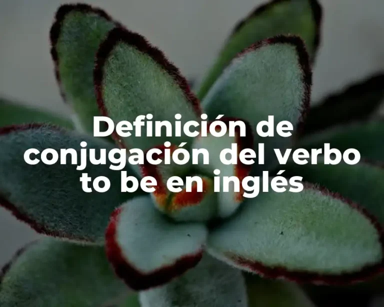 Definición de conjugación del verbo to be en inglés