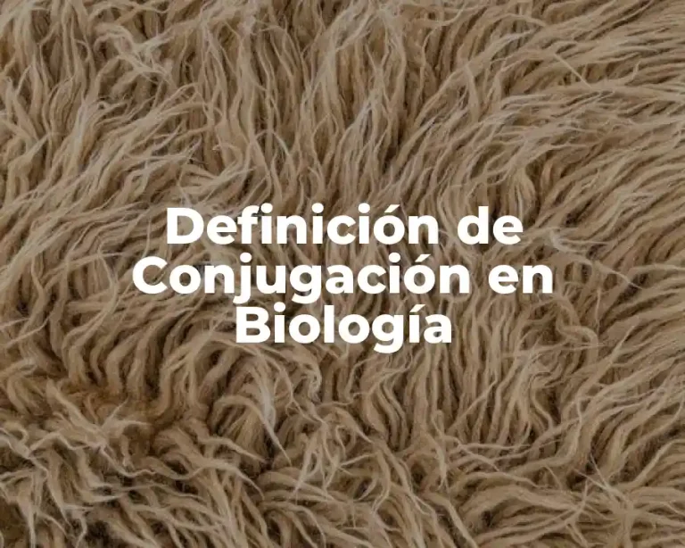Definición de Conjugación en Biología