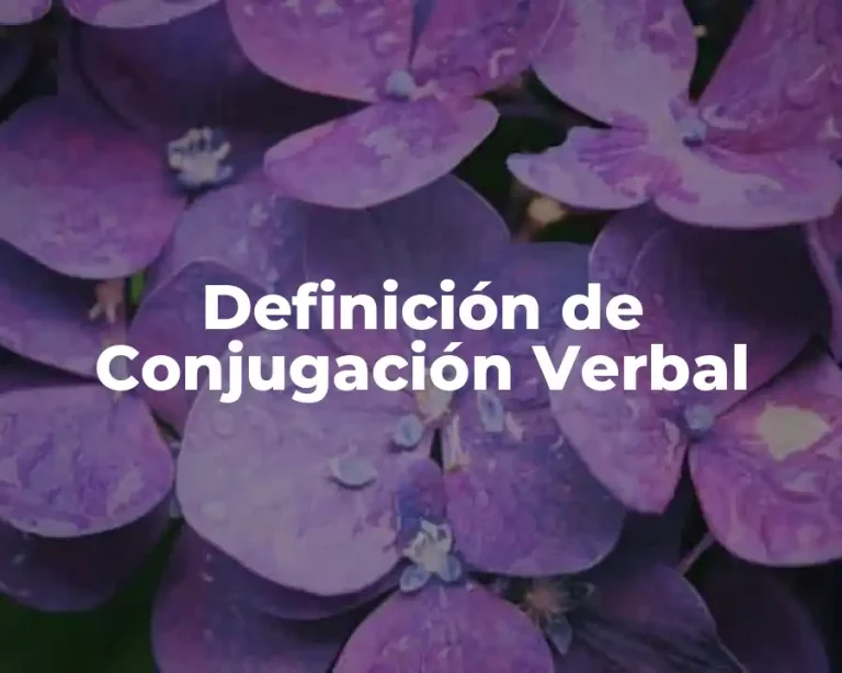 Definición de Conjugación Verbal