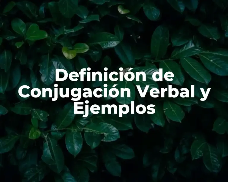 Definición de Conjugación Verbal y Ejemplos