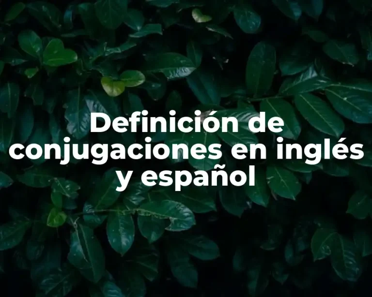 Definición de conjugaciones en inglés y español