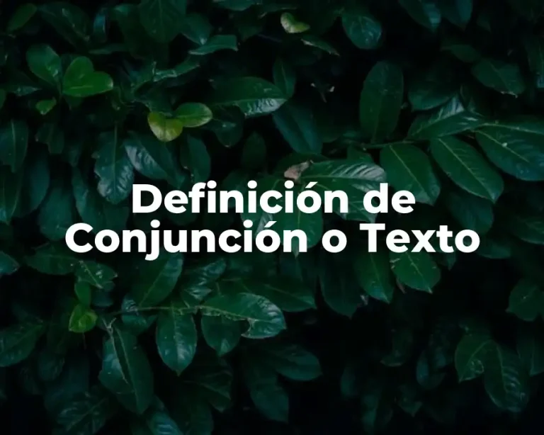 Definición de Conjunción o Texto