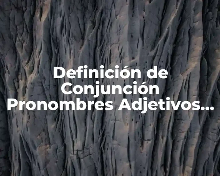 Definición de Conjunción Pronombres Adjetivos Relativos Locuciones y Conjunções