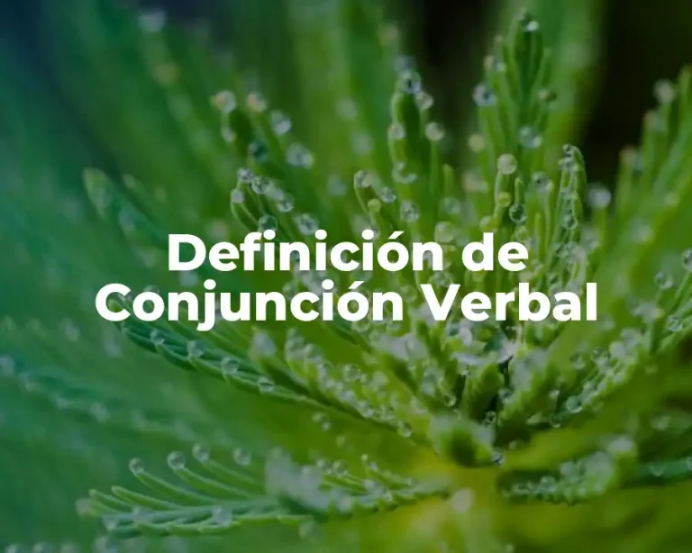 Definición de Conjunción Verbal