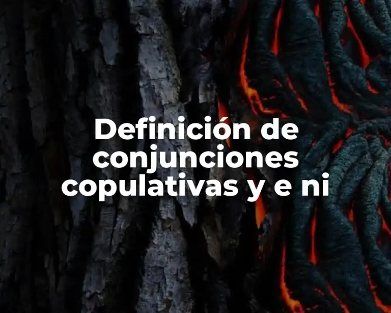 Definición de conjunciones copulativas y e ni