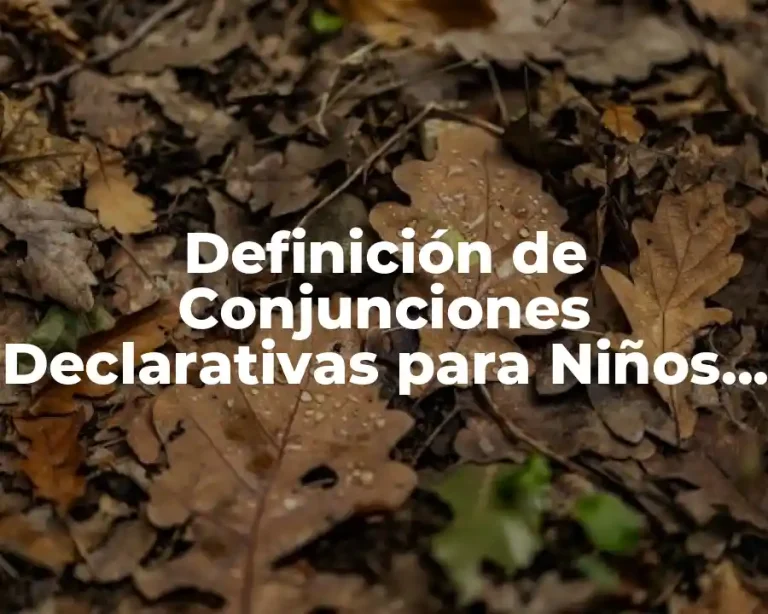 Definición de Conjunciones Declarativas para Niños de Primaria