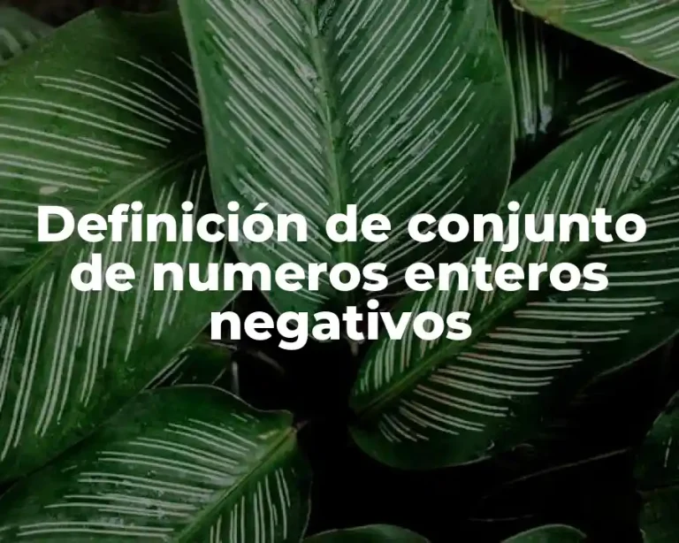 Definición de conjunto de numeros enteros negativos
