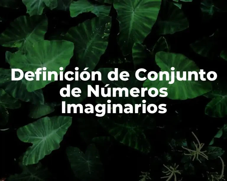 Definición de Conjunto de Números Imaginarios