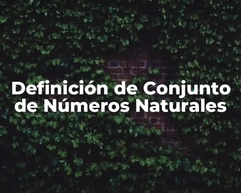 Definición de Conjunto de Números Naturales