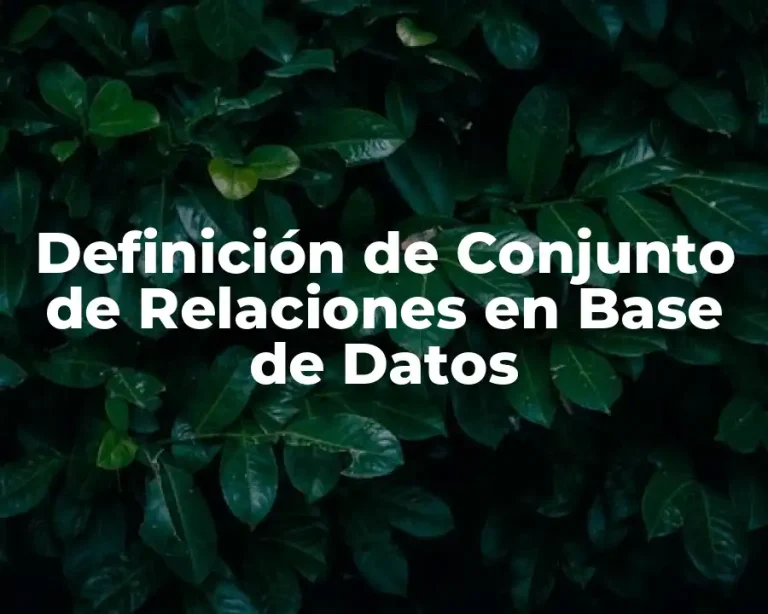 Definición de Conjunto de Relaciones en Base de Datos
