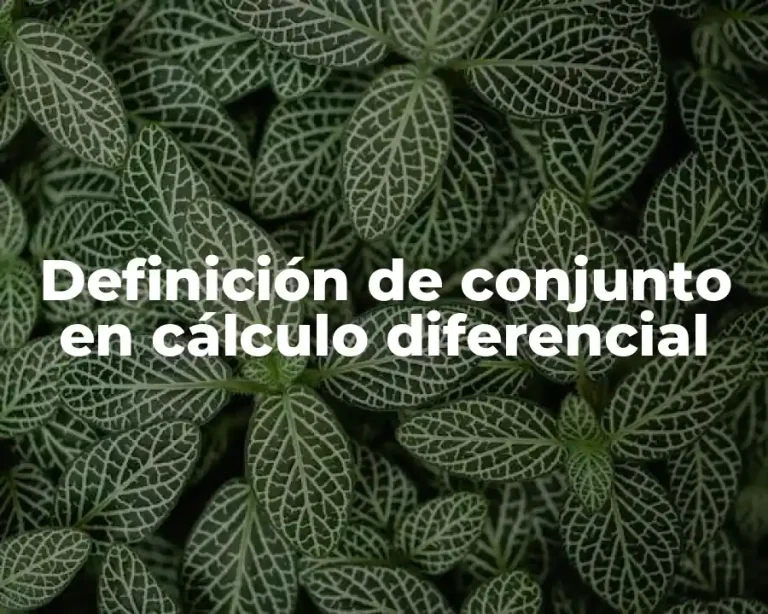 Definición de conjunto en cálculo diferencial