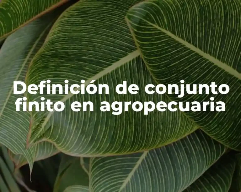 Definición de conjunto finito en agropecuaria