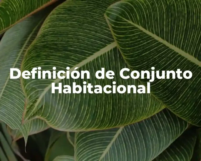 Definición de Conjunto Habitacional