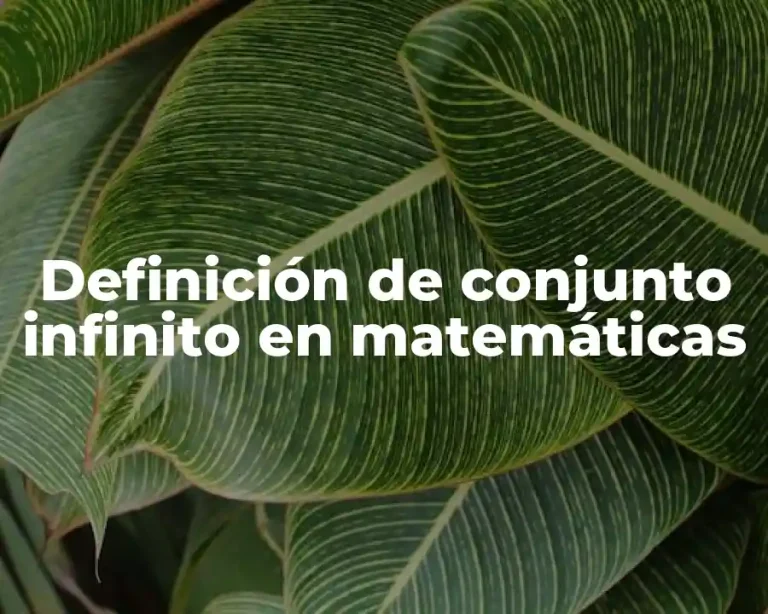 Definición de conjunto infinito en matemáticas