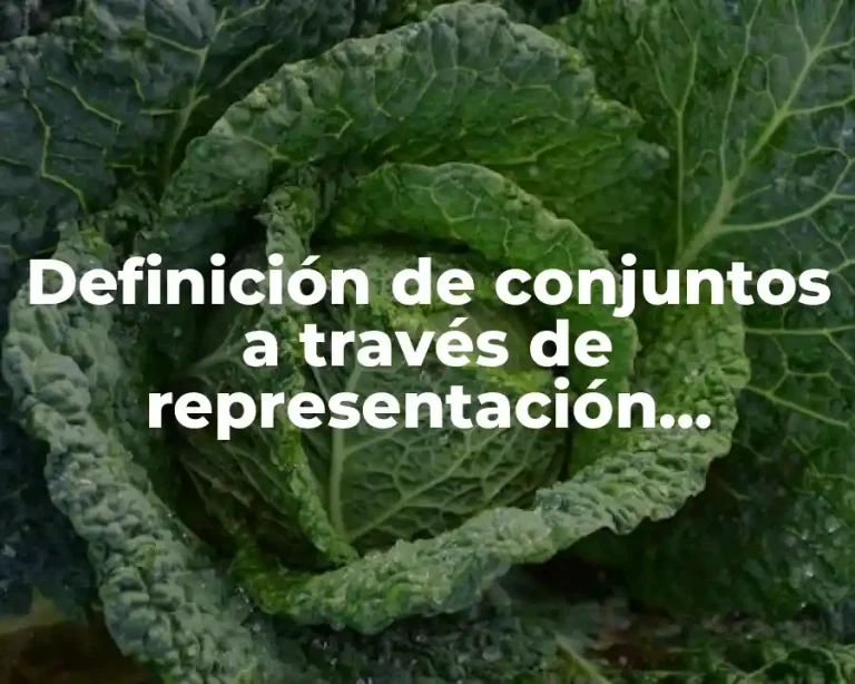 Definición de conjuntos a través de representación numérica