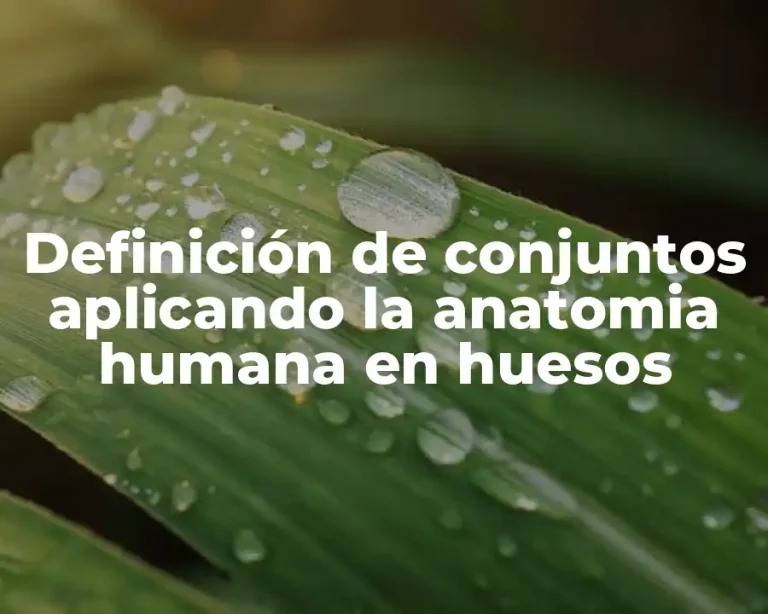 Definición de conjuntos aplicando la anatomia humana en huesos