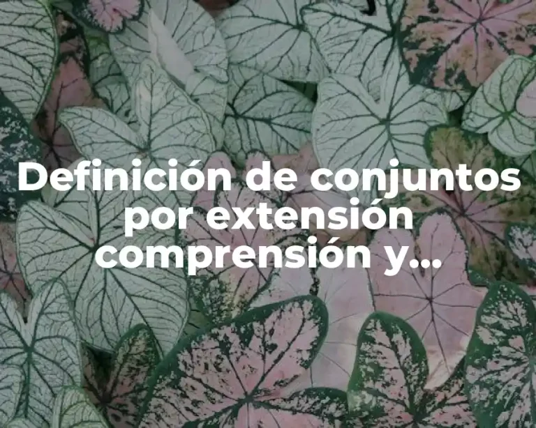 Definición de conjuntos por extensión comprensión y diagrama de Venn