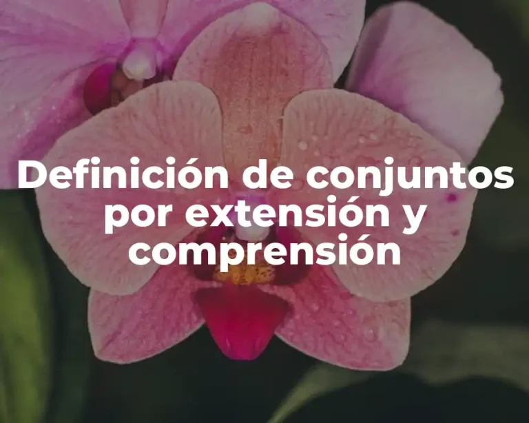 Definición de conjuntos por extensión y comprensión