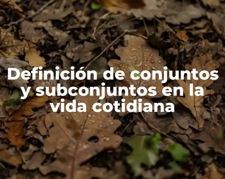 Definición de conjuntos y subconjuntos en la vida cotidiana