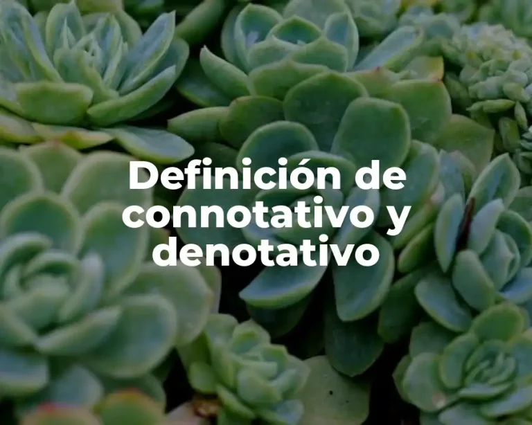Definición de connotativo y denotativo