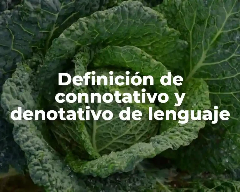 Definición de connotativo y denotativo de lenguaje