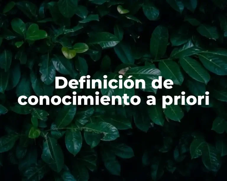 Definición de conocimiento a priori
