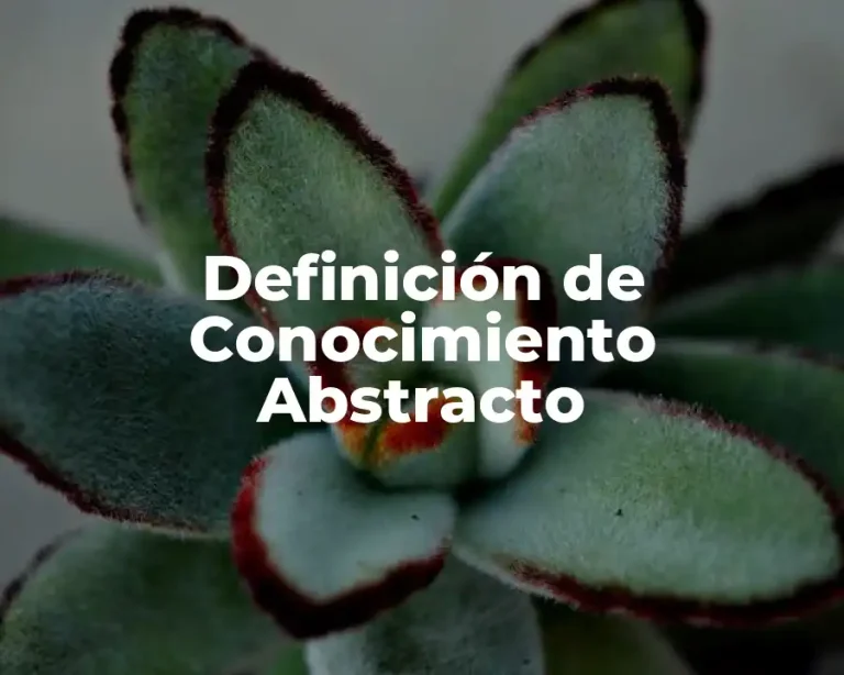 Definición de Conocimiento Abstracto