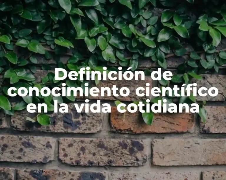 Definición de conocimiento científico en la vida cotidiana