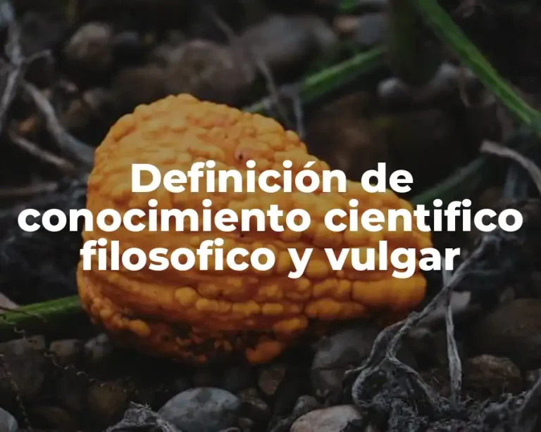 Definición de conocimiento cientifico filosofico y vulgar
