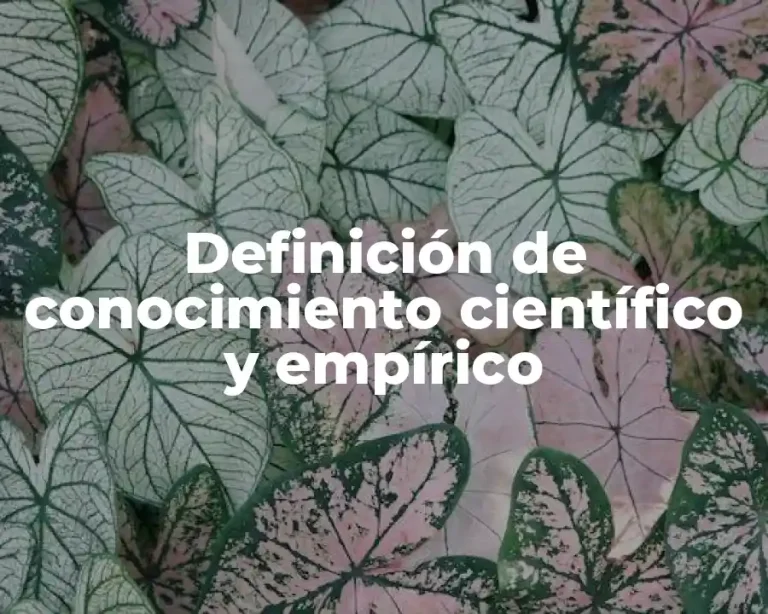 Definición de conocimiento científico y empírico